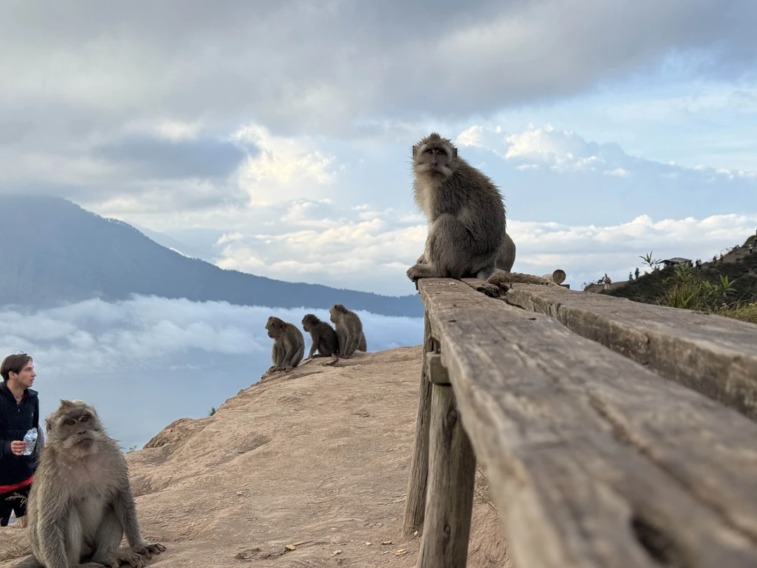 Отзыв о экскурсии "Незабываемый рассвет на вулкане Батур" — фото 3