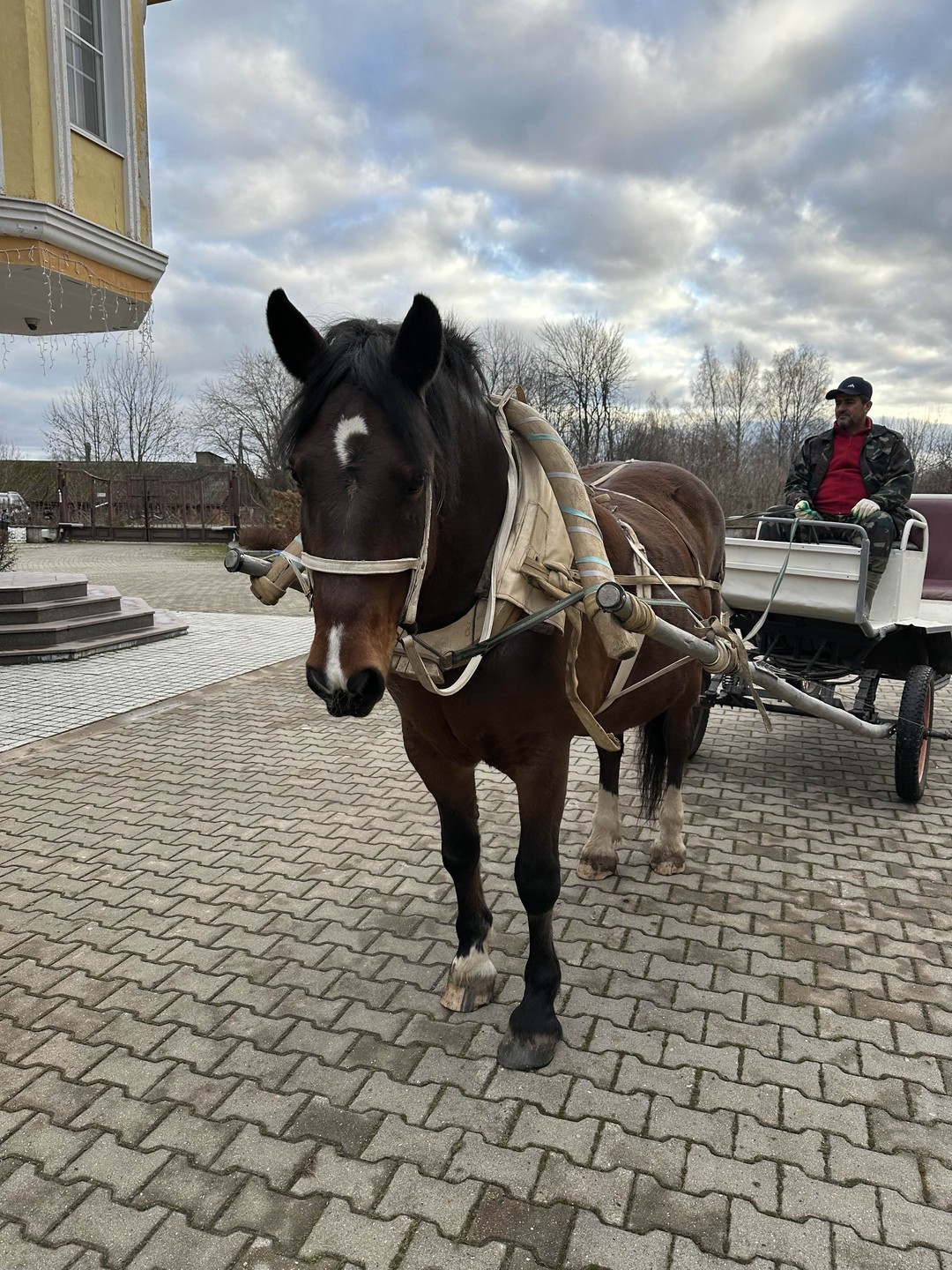 Отзыв о экскурсии "Авторская экскурсия по усадьбе дворян Леонтьевых в Воронино" — фото 3