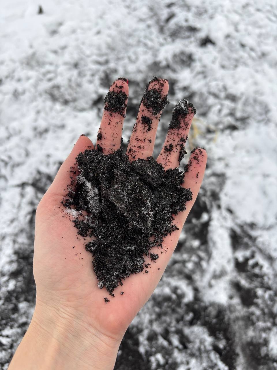 Отзыв о экскурсии "Халактырский пляж: добраться до края света" — фото 2