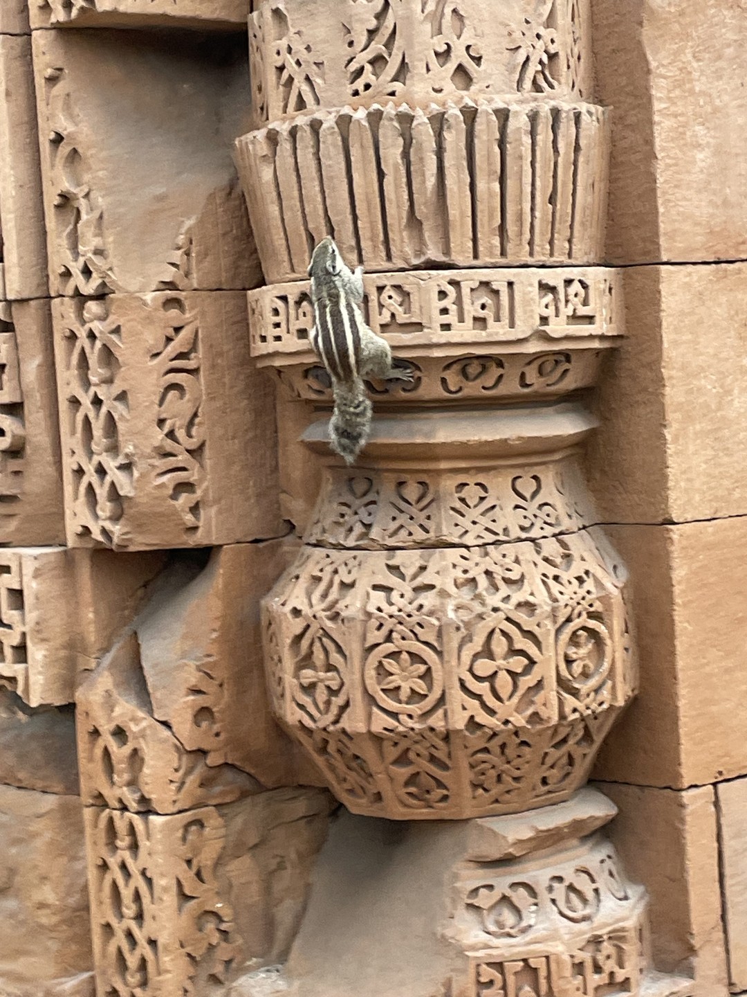 Отзыв о экскурсии "Обзорная экскурсия «Один день в Дели»" — фото 3