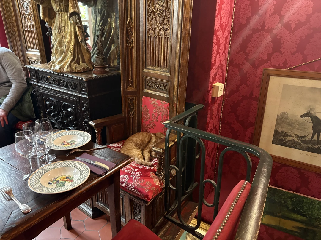 Отзыв о экскурсии "По следам парижских алхимиков" — фото 4