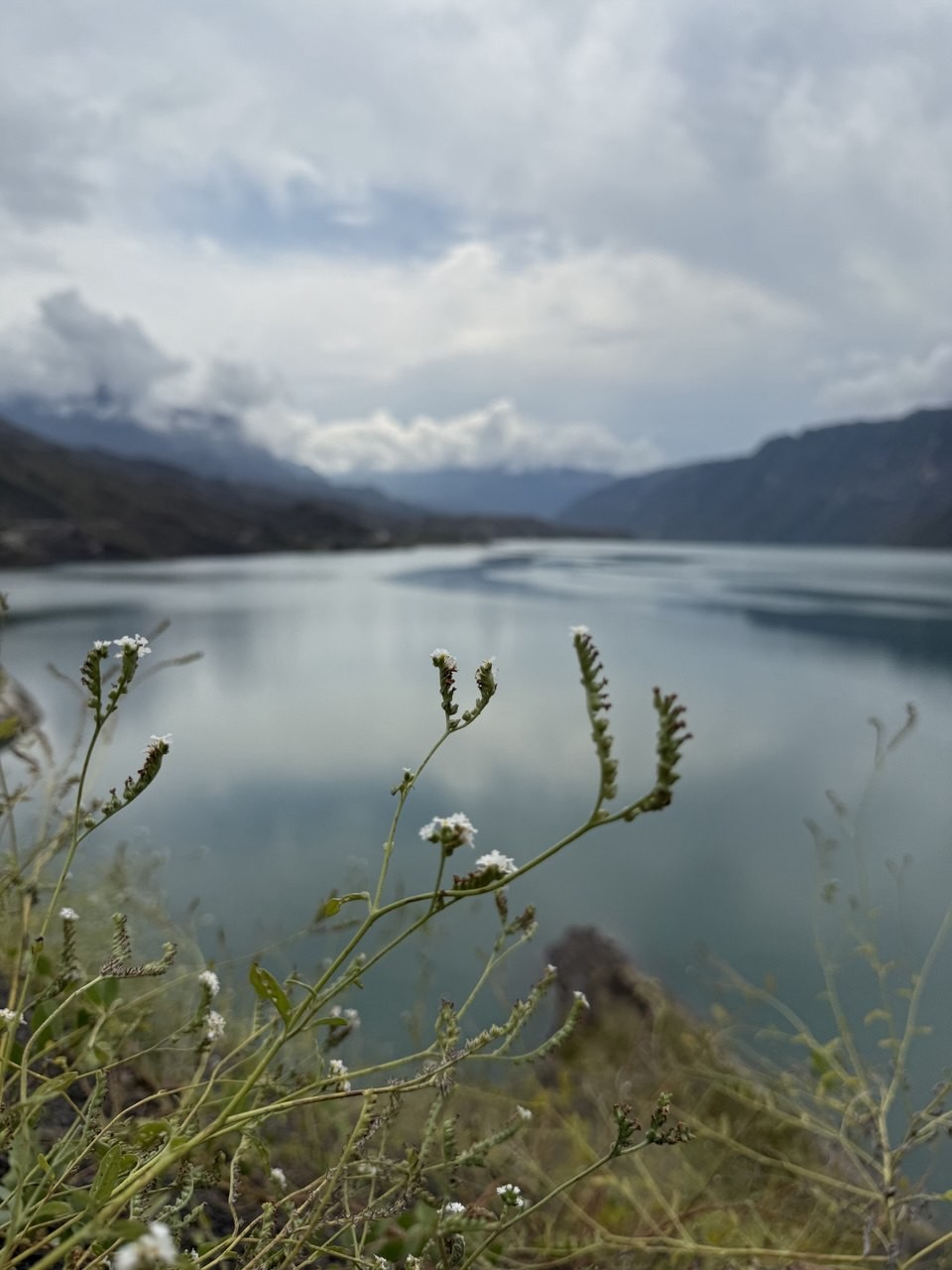 Отзывы об экскурсиях в Махачкале