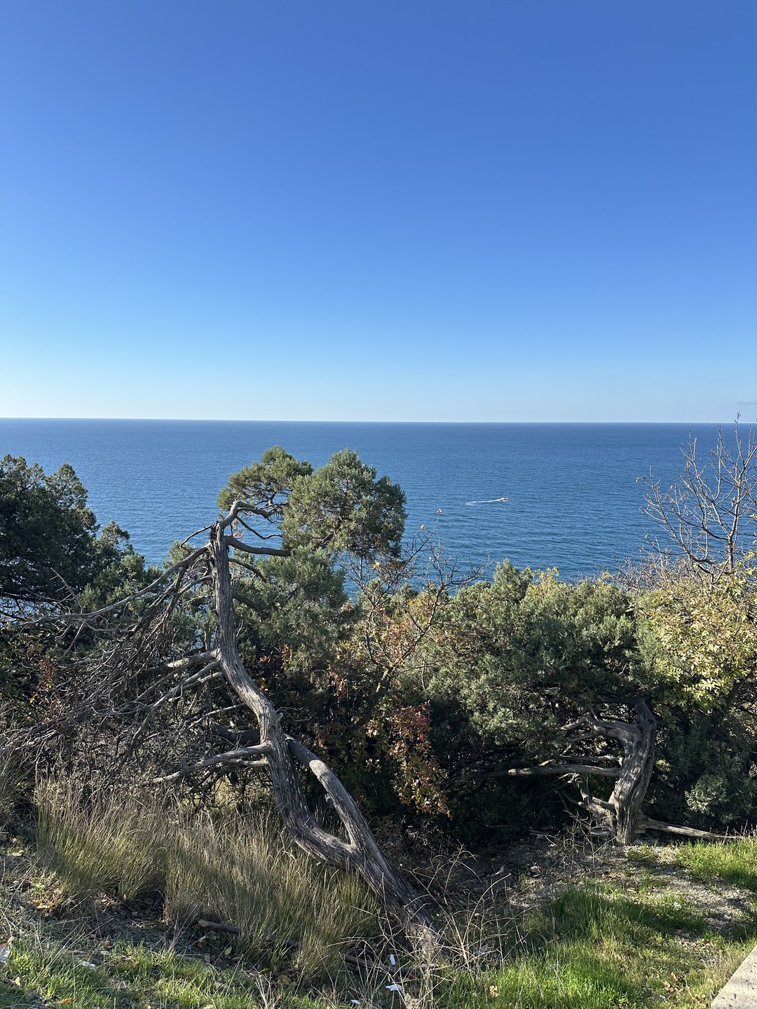 Отзыв о экскурсии "Анапа: топ-места за 5 часов" — фото 4