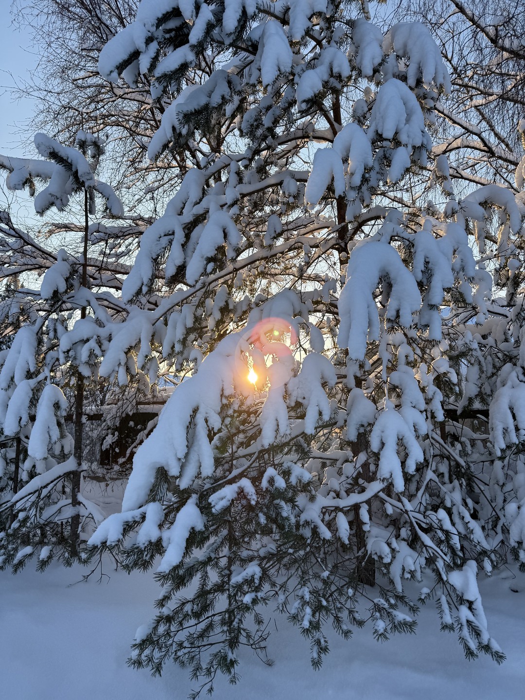 Отзывы об экскурсиях в Петрозаводске
