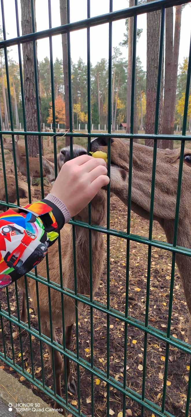 Фото путешественника — 6