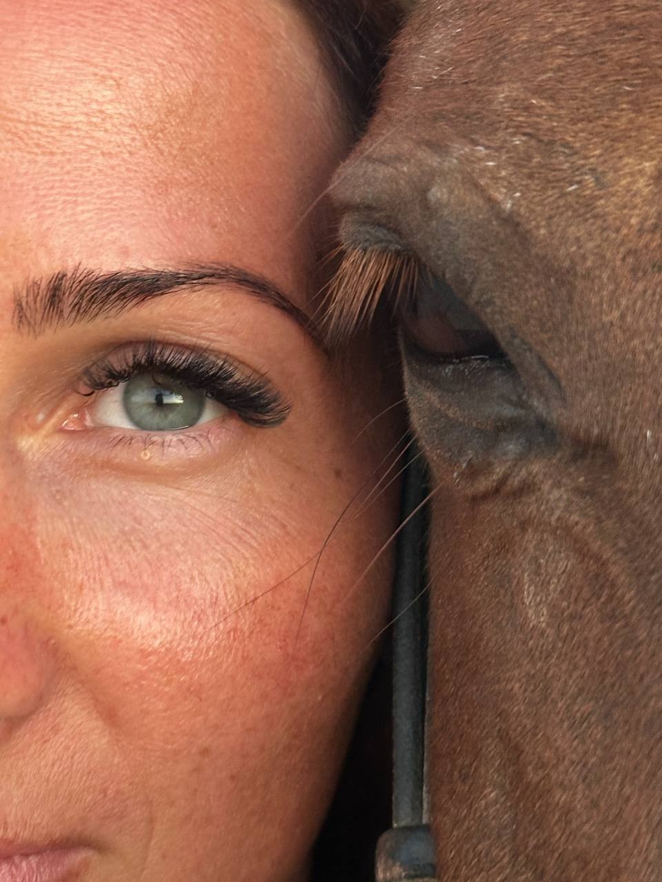 Отзыв о экскурсии "Конные прогулки по пустыне и к Красному морю" — фото 4