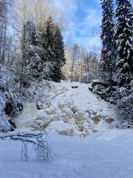 Отзыв о экскурсии "Там, где властвует природа: индивидуальный автотур в Карелию с гидом-фотографом" — фото 6