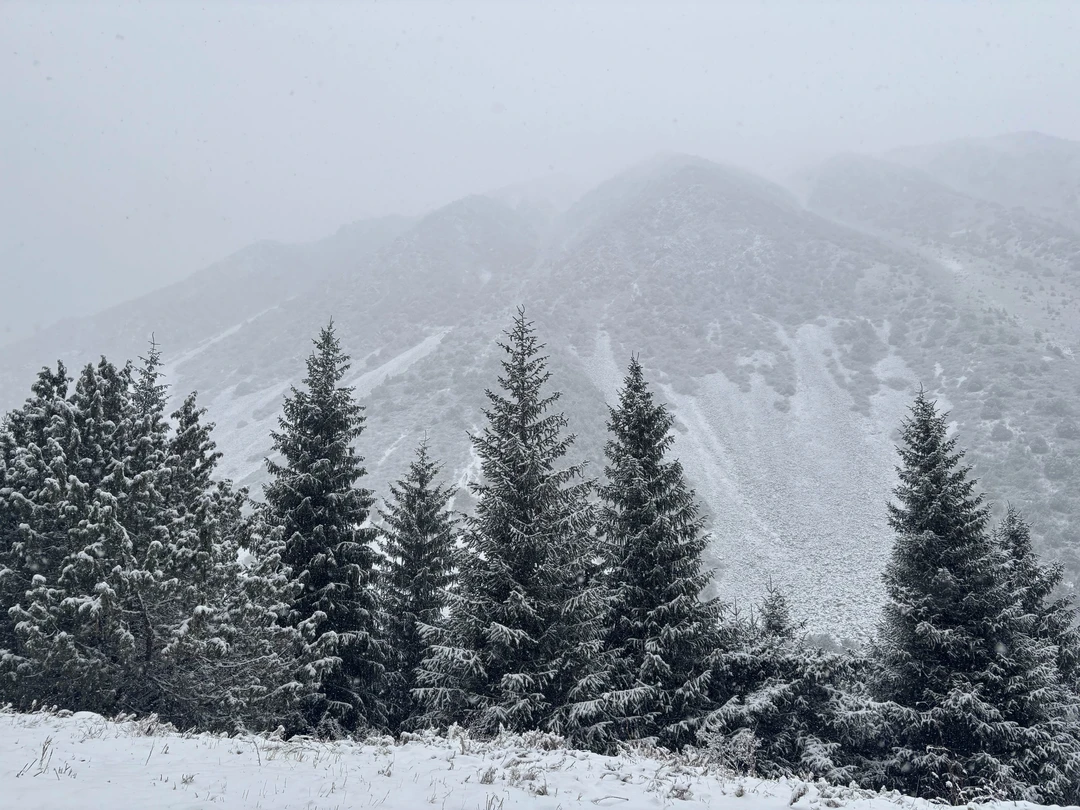 Отзыв о экскурсии "Национальный парк «Ала-Арча»: приключение в горах близ Бишкека" — фото 2