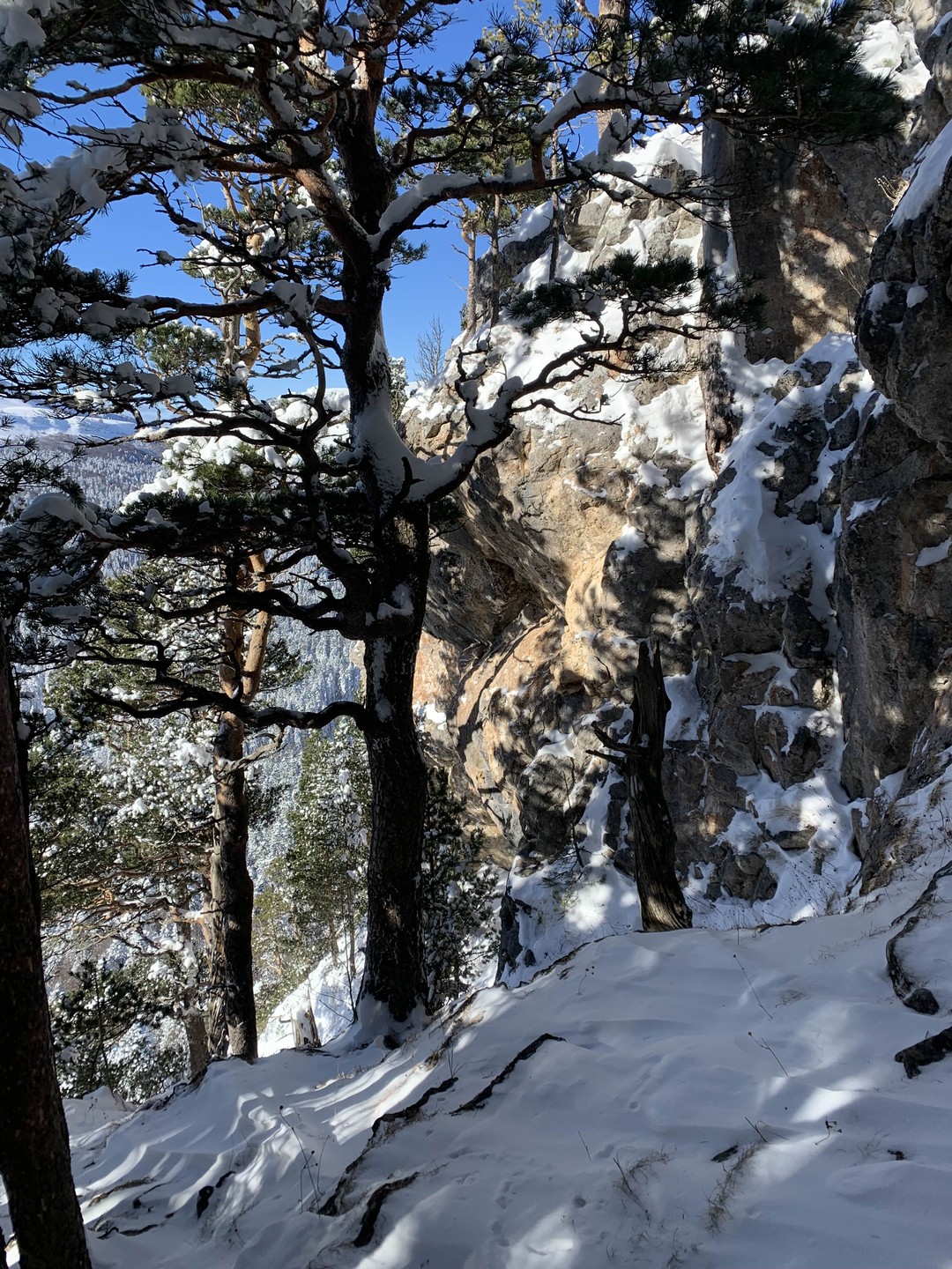 Фото путешественника — 3