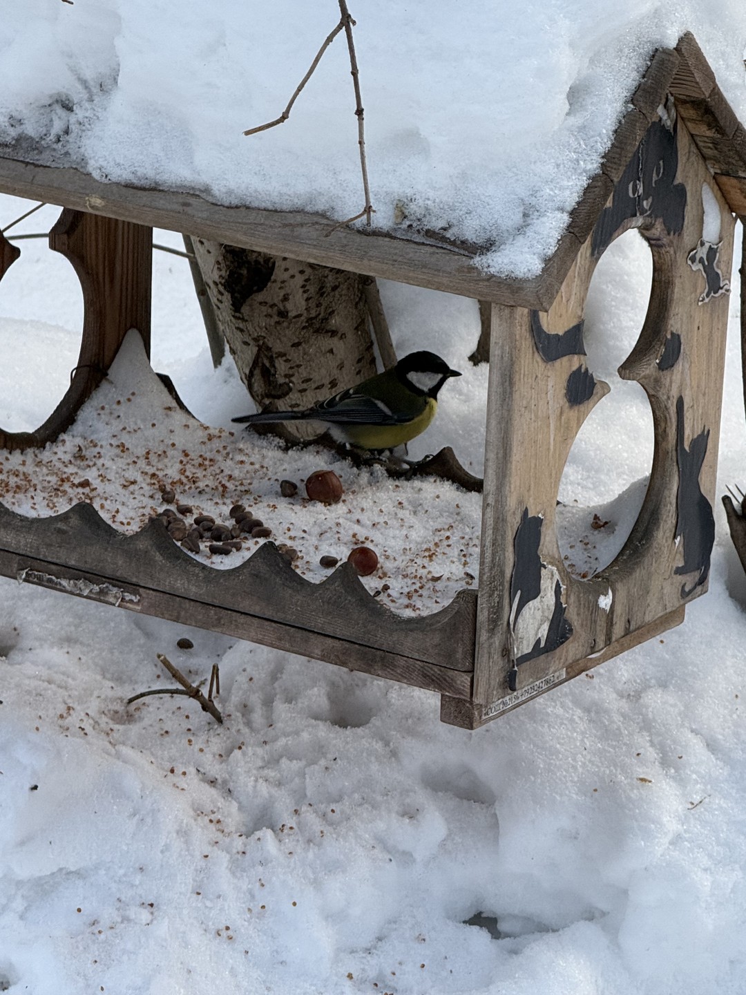 Отзыв о экскурсии "Красный проспект — сердце Новосибирска" — фото 5