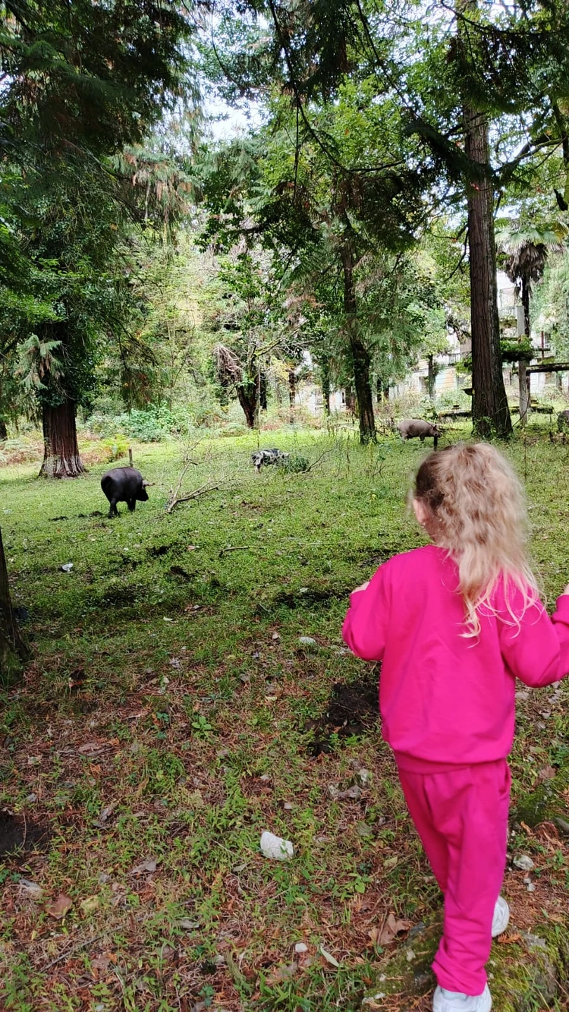 Отзыв о экскурсии "В Акармара и Ткуарчал по следам советской Абхазии (из Сухума)" — фото 4