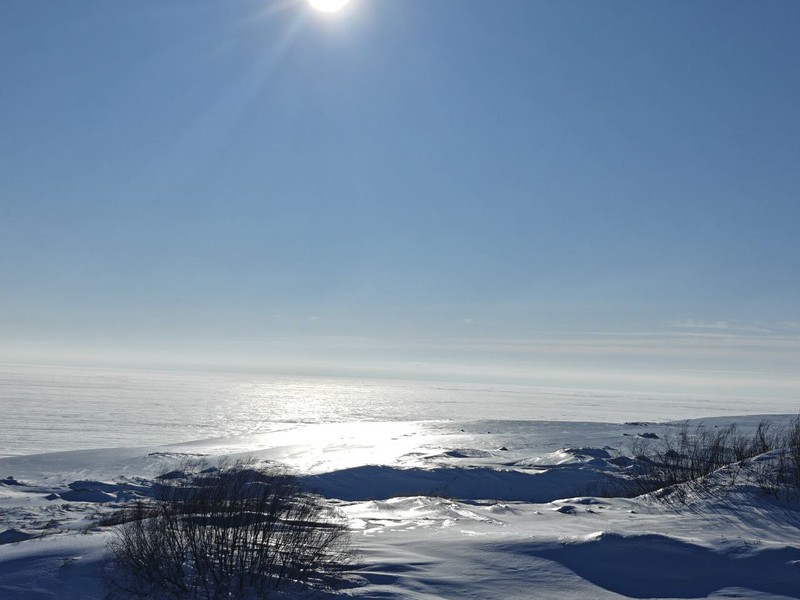 Отзыв о экскурсии "Куршская коса: земля древних куршей и великанши Неринги (из Зеленоградска)" — фото 1