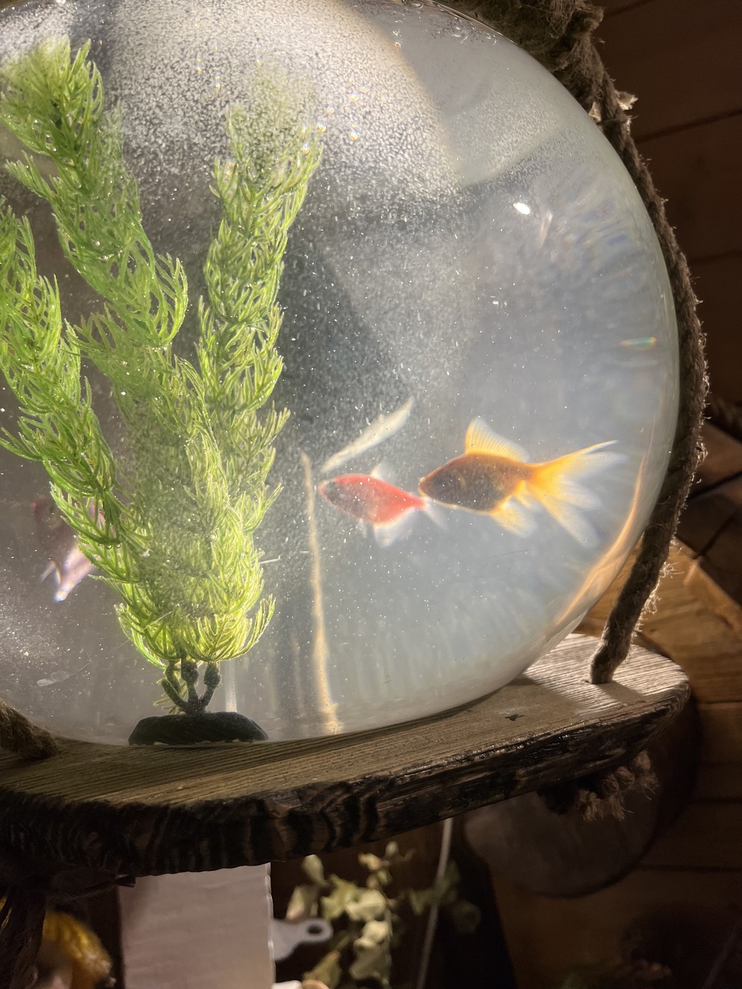 Фото путешественника — 6