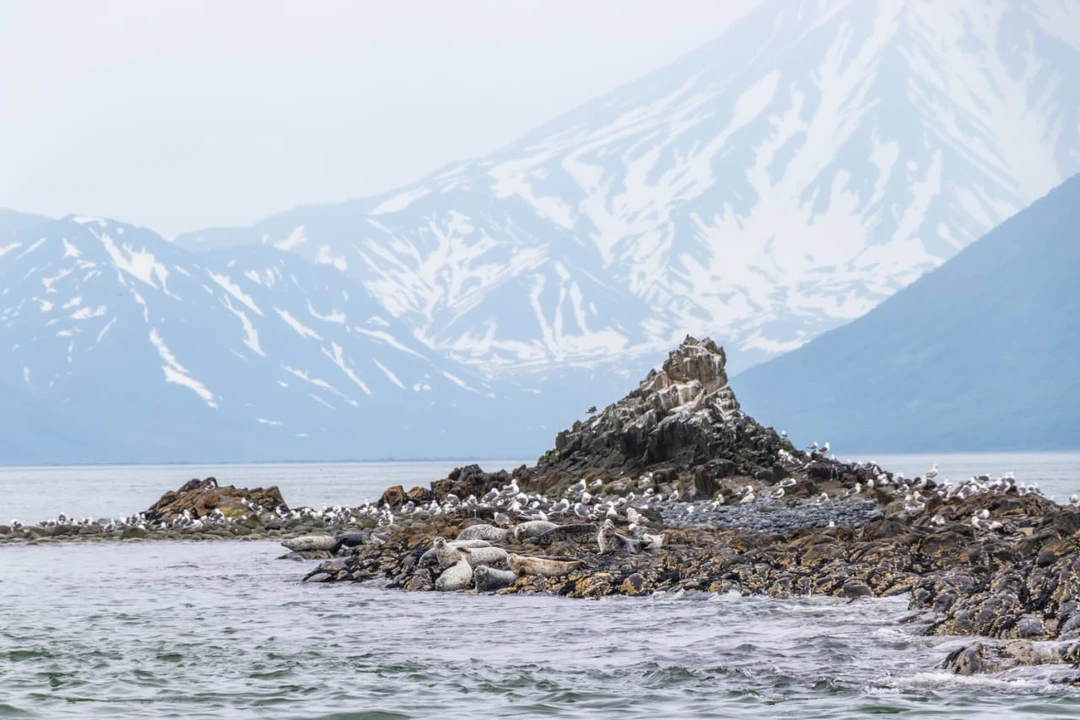 Отзыв о экскурсии "Бухта Русская — с высадкой на берег, морской рыбалкой и крабовым сафари" — фото 2
