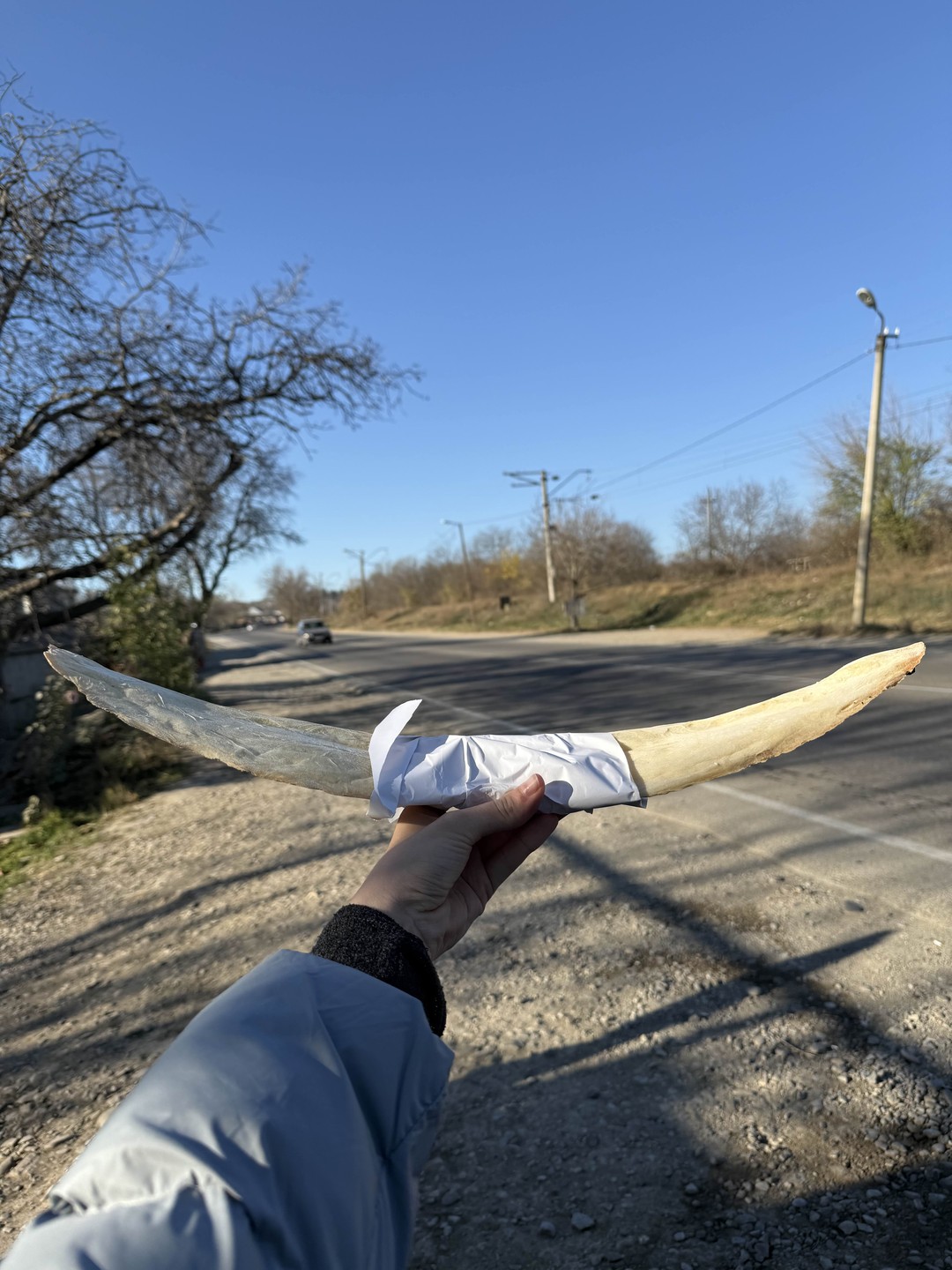 Отзыв о экскурсии "Кахетия — родина вина, чачи и красоты!" — фото 4