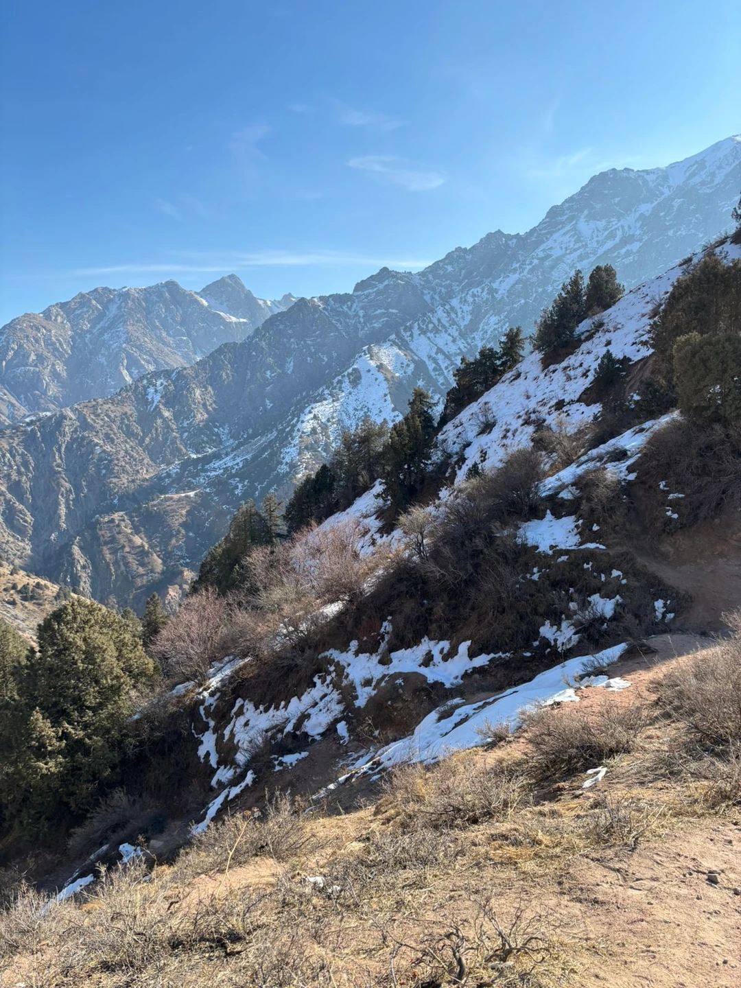 Отзыв о экскурсии "Восхождение на Большой Чимган" — фото 3