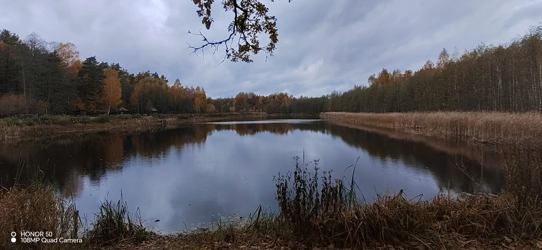 Отзыв о экскурсии "Красота Брестской земли: Беловежская пуща и не только за 1 день" — фото 2