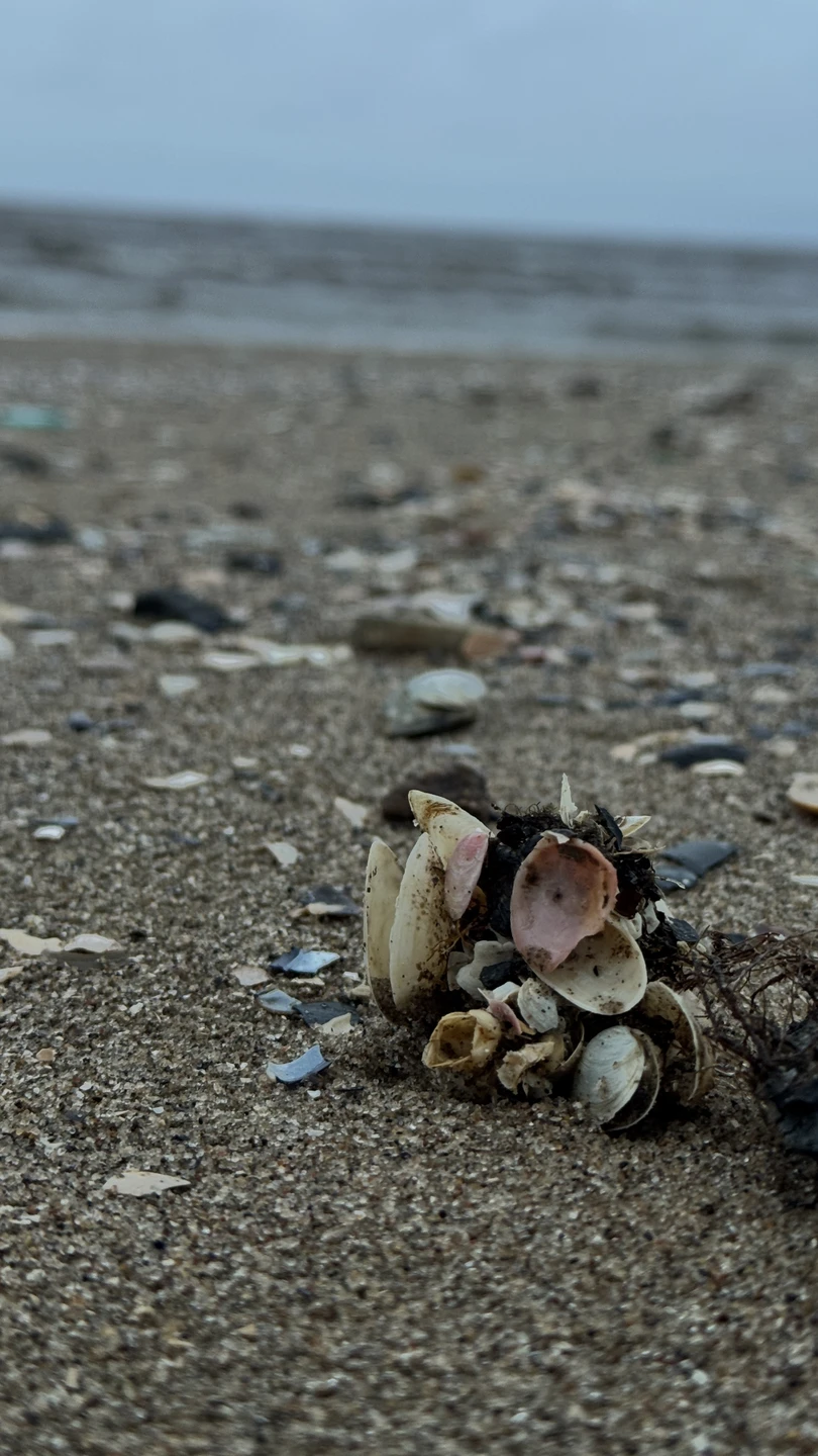 Отзыв о экскурсии "В Северодвинск — к подлодкам и Белому морю!" — фото 3