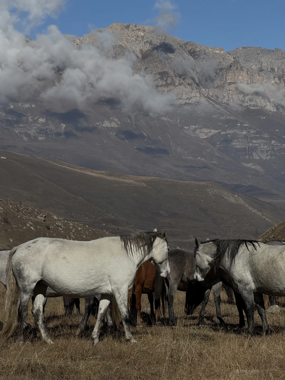 Фото путешественника — 4