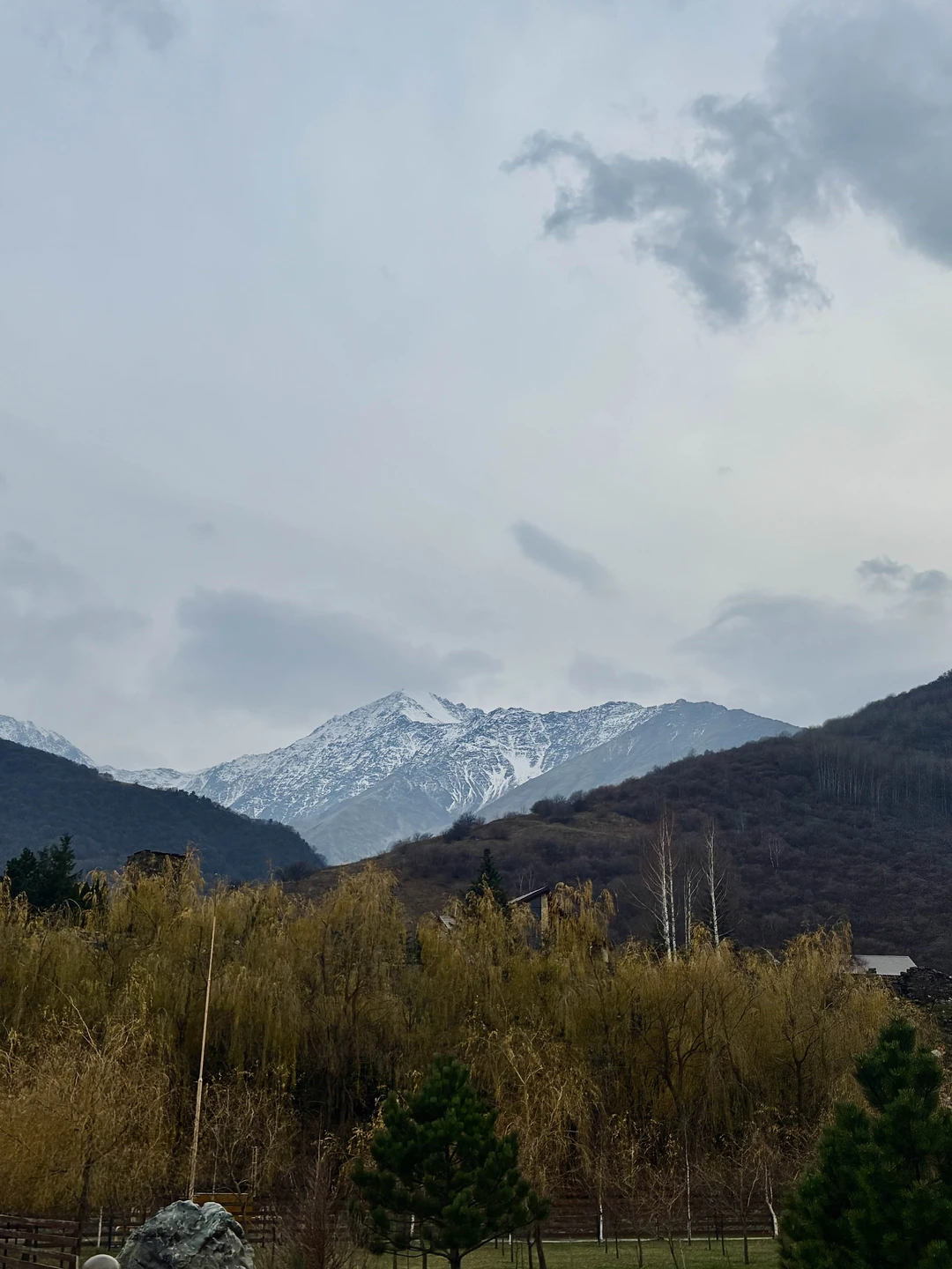 Отзыв о экскурсии "В окружении гор: лучшие места Северной Осетии за 1 день" — фото 4