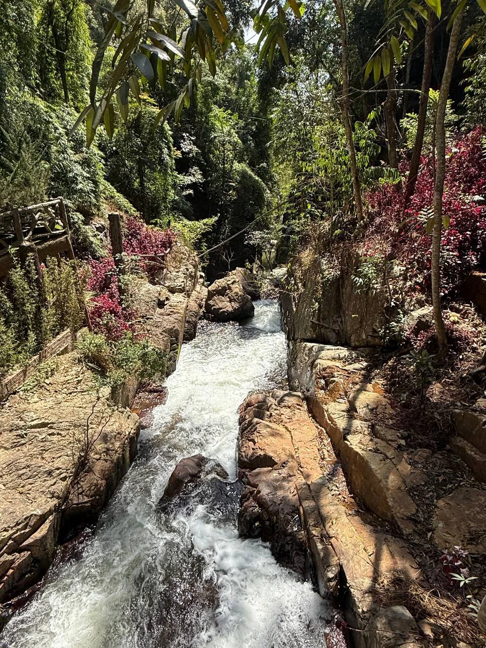 Отзыв о экскурсии "В Далат — из Нячанга" — фото 8