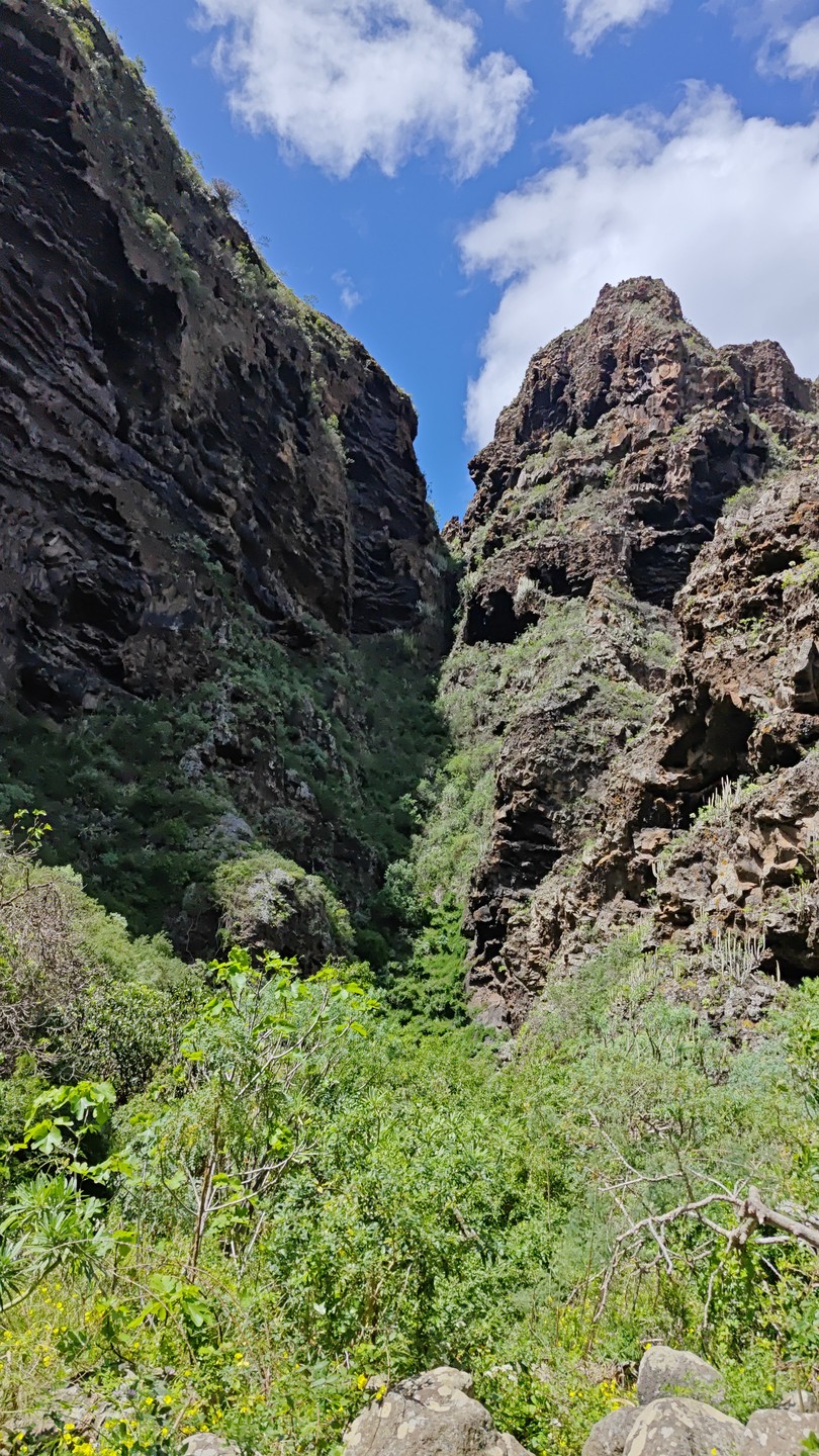 Отзыв о экскурсии "Сквозь джунгли Тенерифе к секретным водопадам" — фото 2