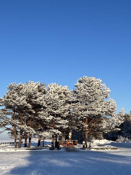 Отзыв о экскурсии "Северодвинск противоречивый" — фото 8