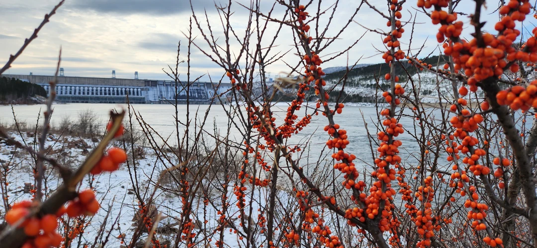 Отзыв о экскурсии "Ворота Енисея: групповая экскурсия на Красноярскую ГЭС" — фото 7
