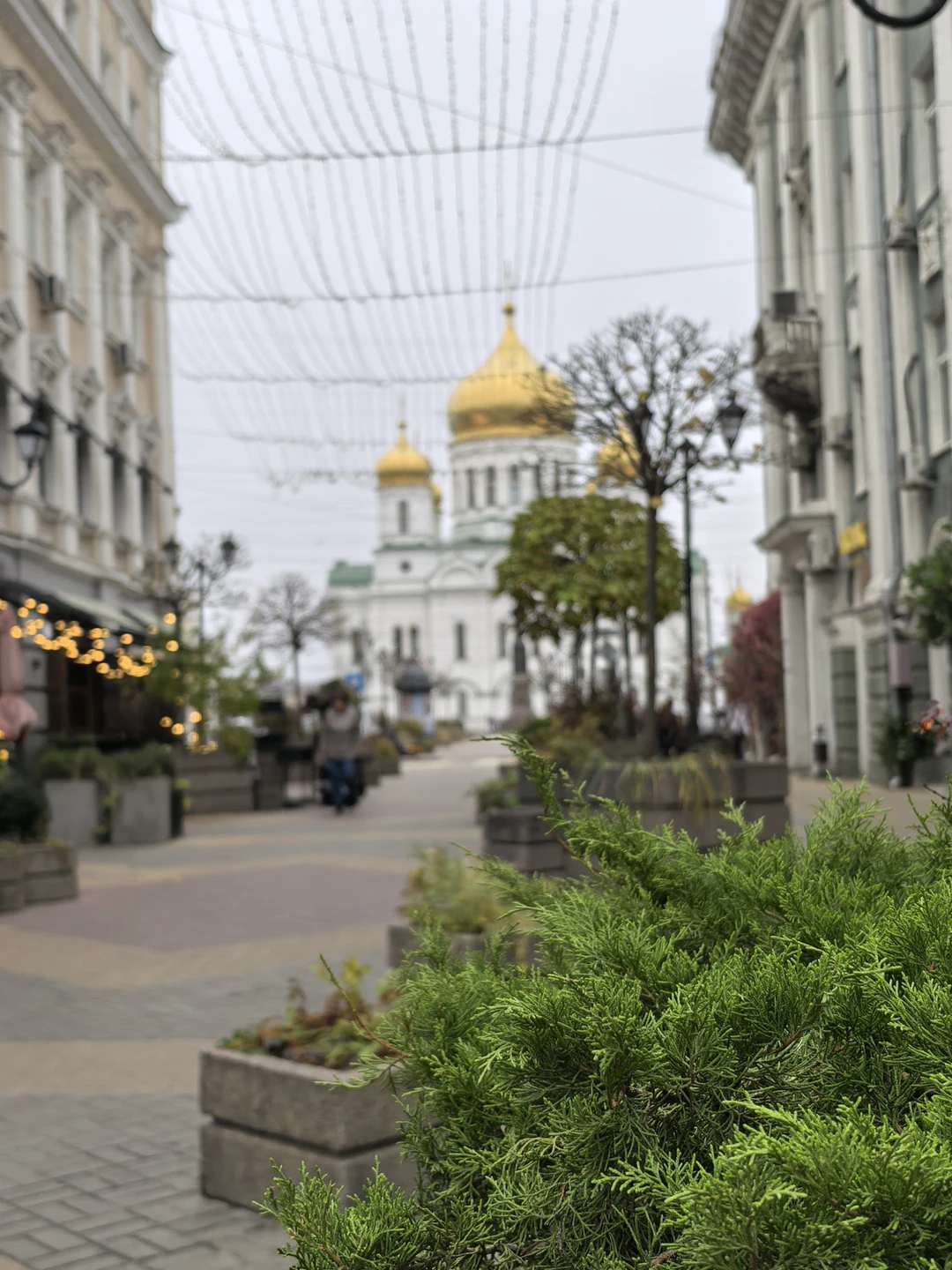 Отзыв о экскурсии "Семейная фотосессия в Ростове-на-Дону" — фото 1