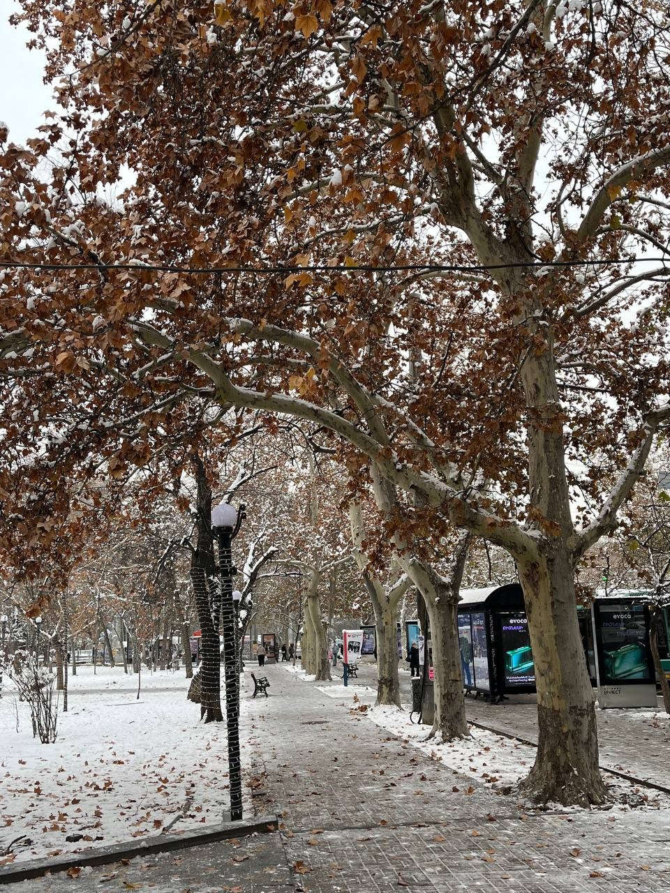 Фото путешественника — 2