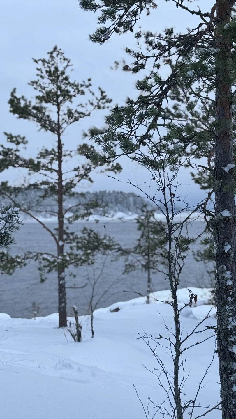 Отзыв о экскурсии "По Ладожскому озеру — на аэролодке своей компанией!" — фото 2