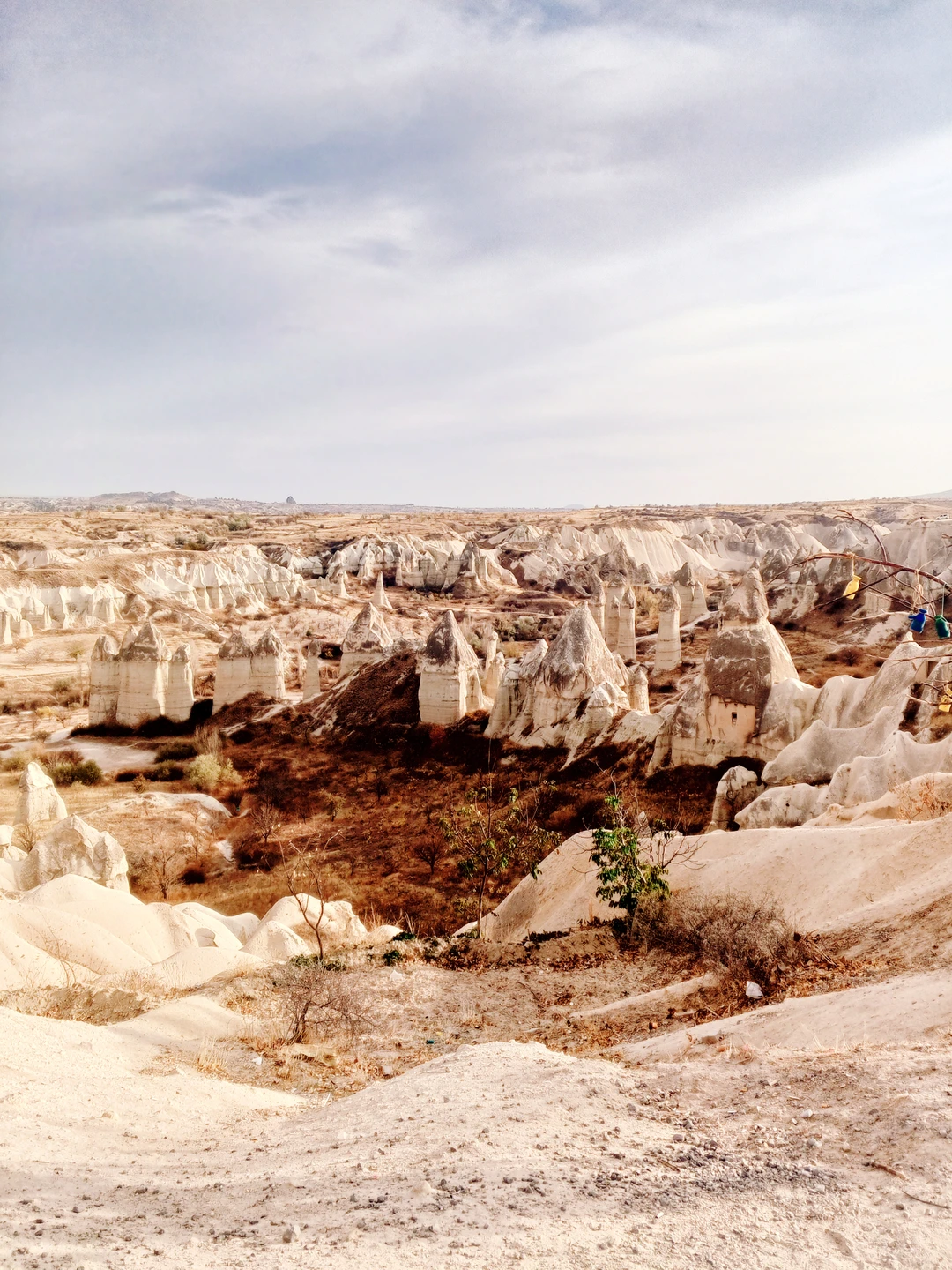 Фото путешественника — 8