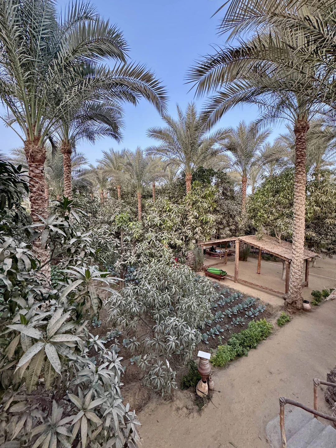 Отзыв о экскурсии "Каир, каким его мало кто видел: Гиза, Саккара, Дахшур и Мемфис" — фото 3