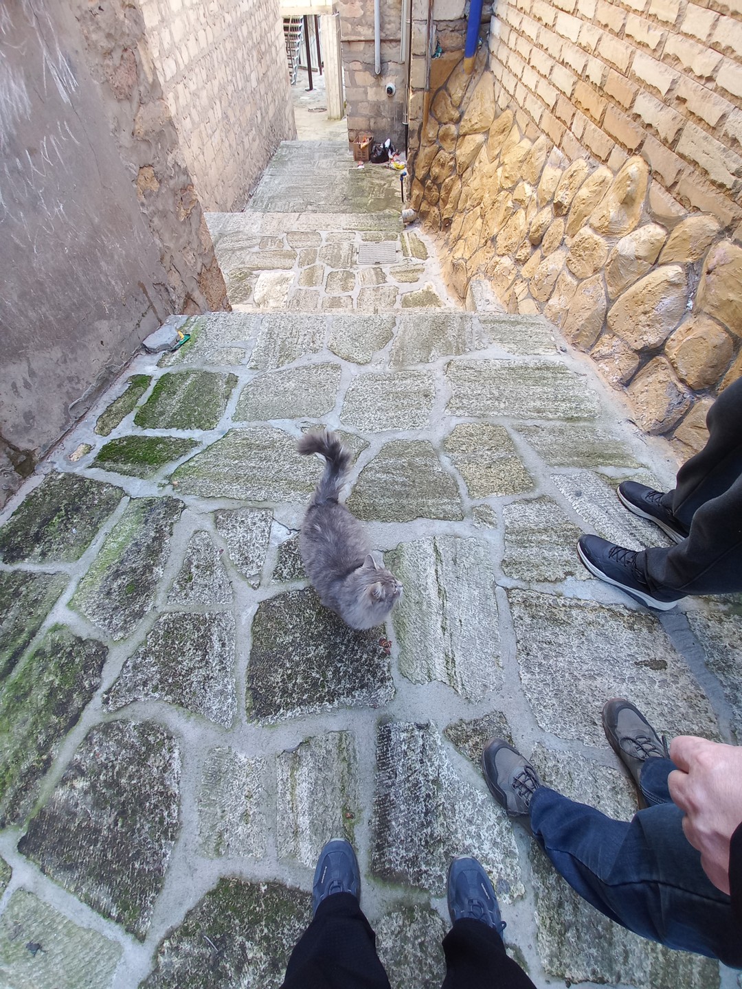 Отзыв о экскурсии "Магия старинного Дербента" — фото 4