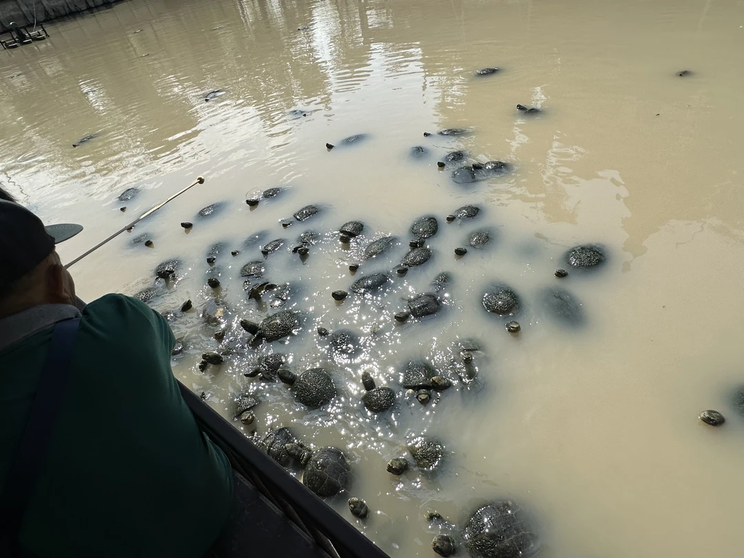 Отзыв о экскурсии "Из Бангкока в Аюттайю — древнюю столицу Сиама" — фото 2