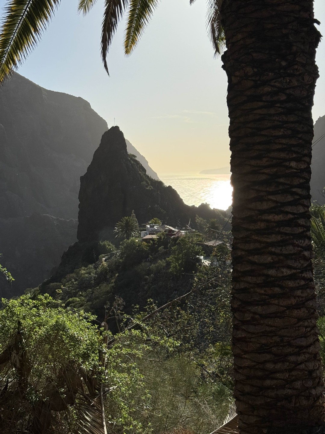 Отзыв о экскурсии "Тенерифе — любовь с первого взгляда" — фото 2