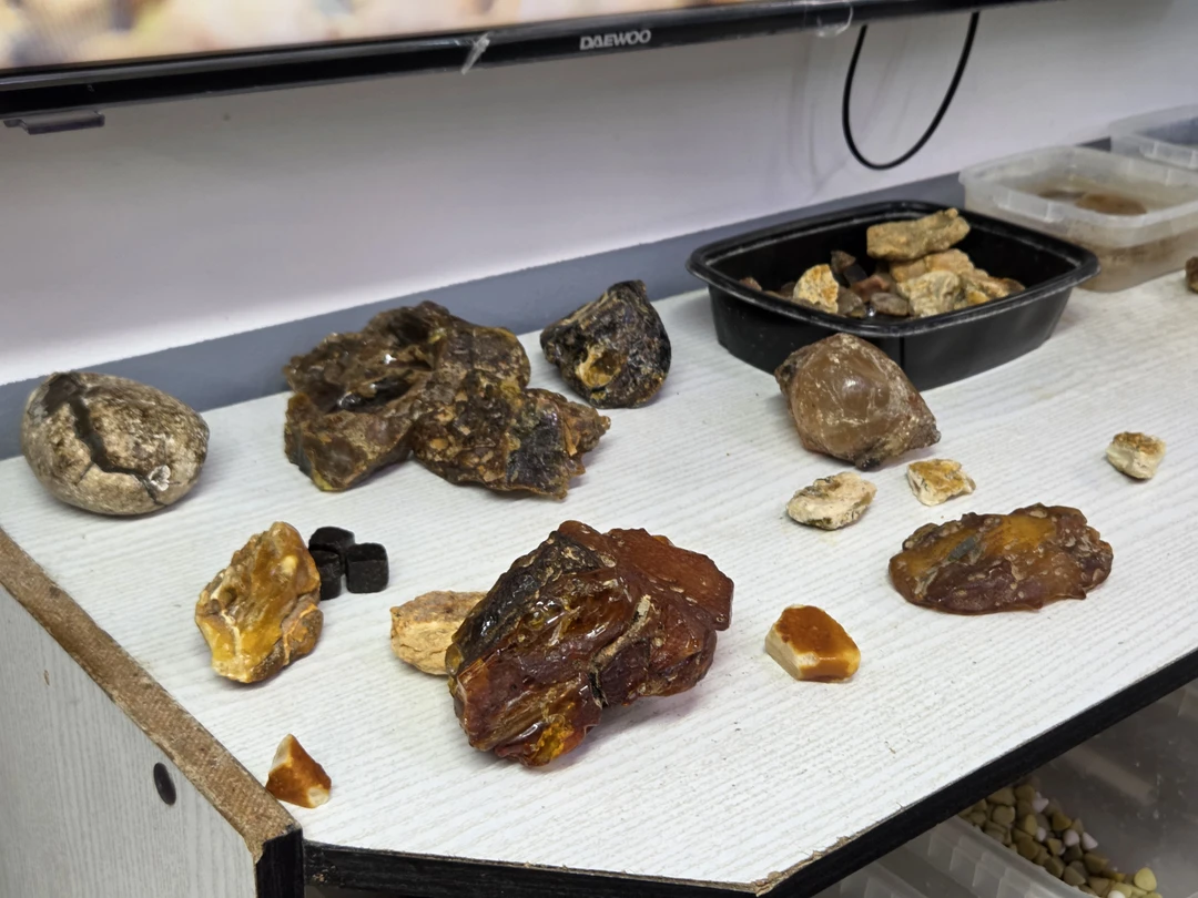 Отзыв о экскурсии "Калининград и всё побережье от Куршской косы до Балтийска (индивидуальный тур)" — фото 3