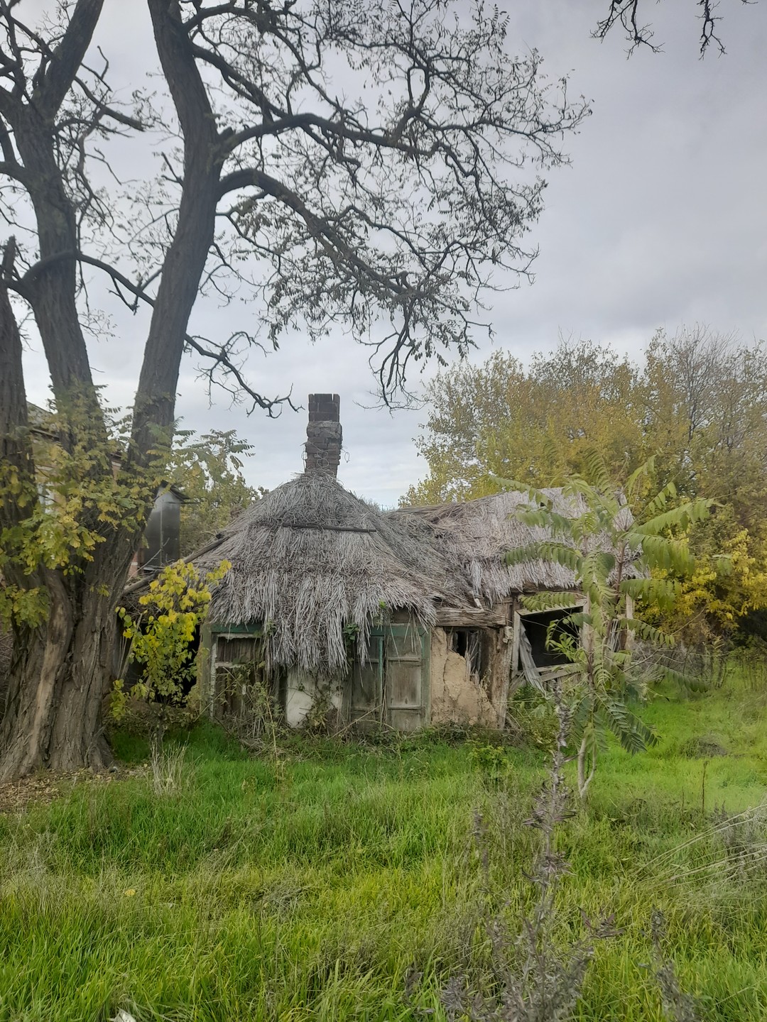 Отзыв о экскурсии "Вдоль Дона — к побережью Азовского моря" — фото 7