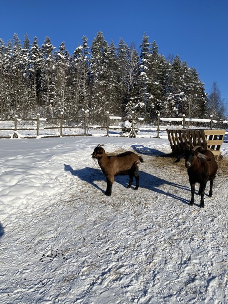 Фото путешественника — 8