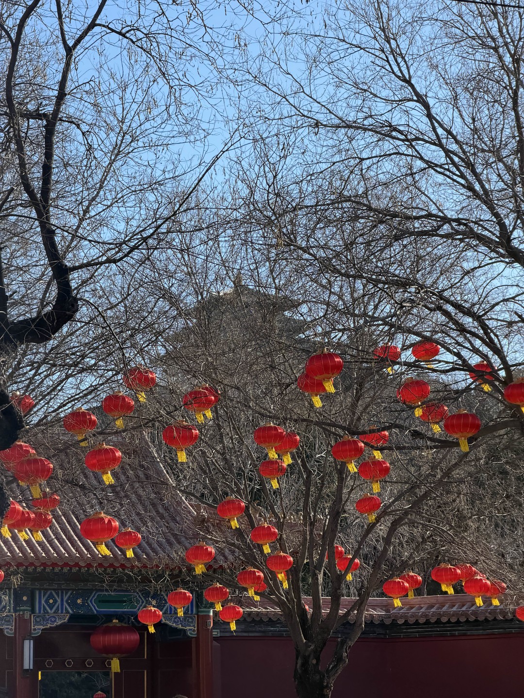 Отзыв о экскурсии "Пекин и Великая Китайская стена за 1 день: индивидуальная VIP-экскурсия" — фото 4