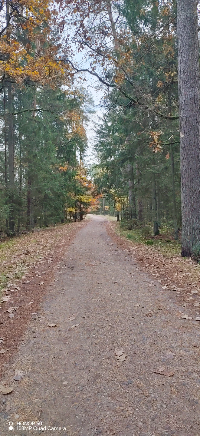 Отзыв о экскурсии "Красота Брестской земли: Беловежская пуща и не только за 1 день" — фото 1
