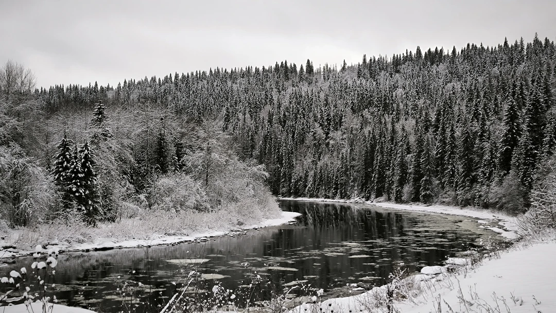 Отзыв о экскурсии "Сказки Пермского края: Усьвинские столбы и Каменный город" — фото 6