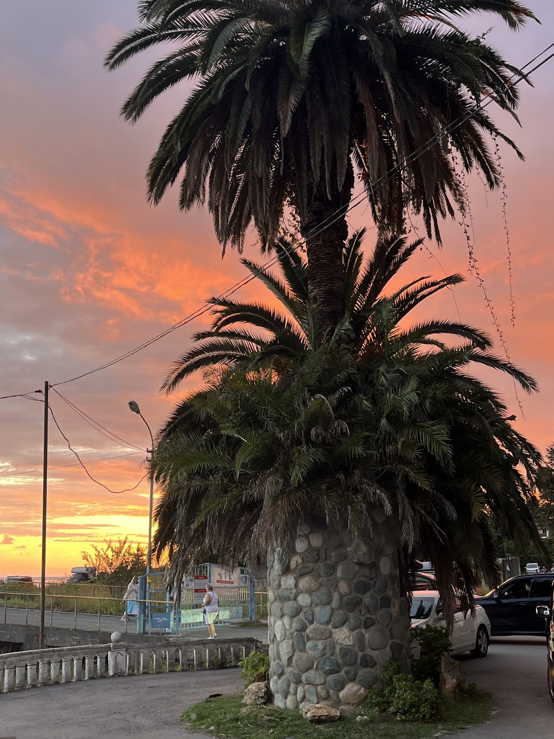 Отзыв о экскурсии "Вечерняя Гагра" — фото 7