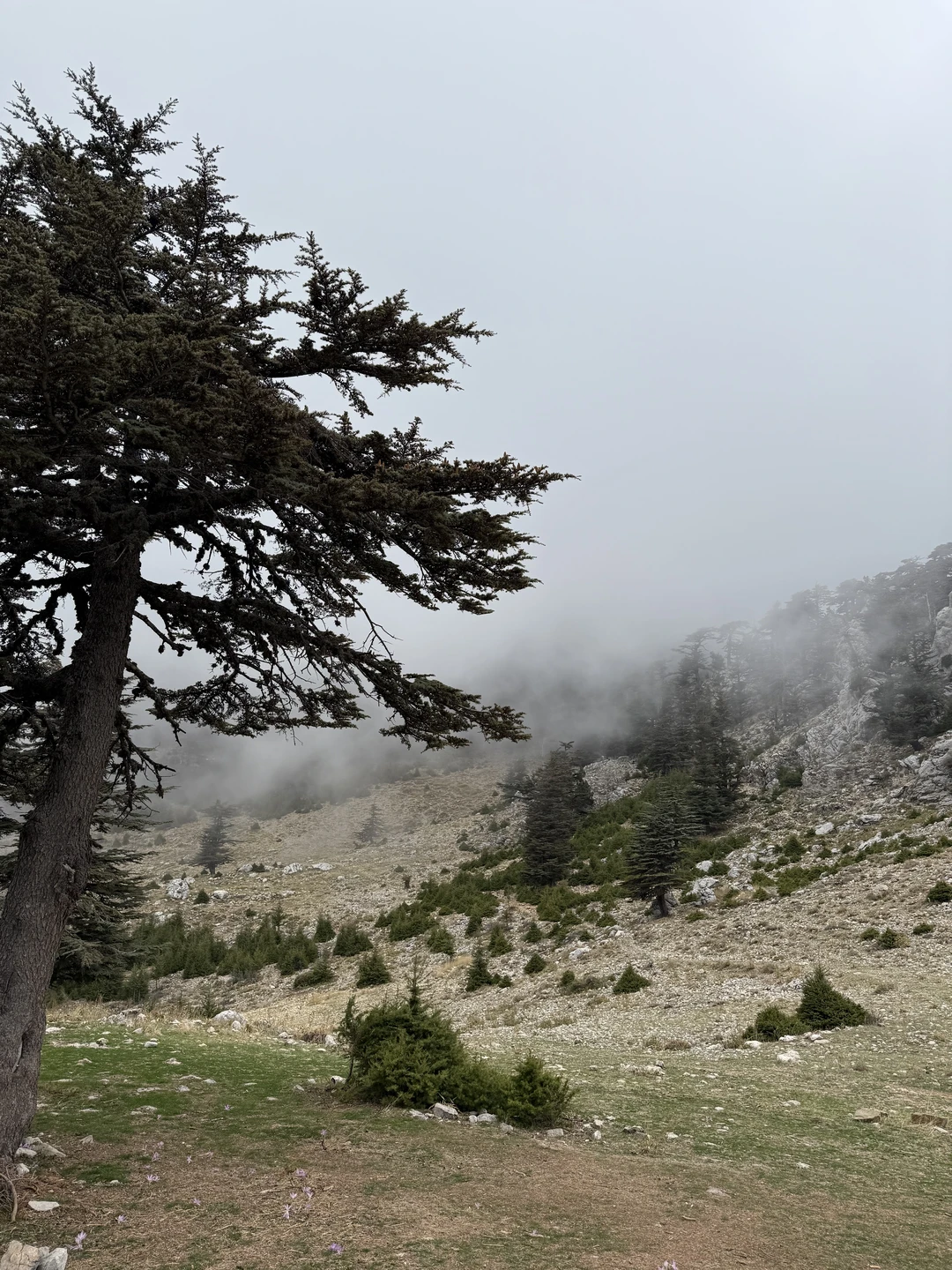 Отзыв о экскурсии "На джипе в горы — туда, где живёт настоящая Турция (из Кемера)" — фото 5