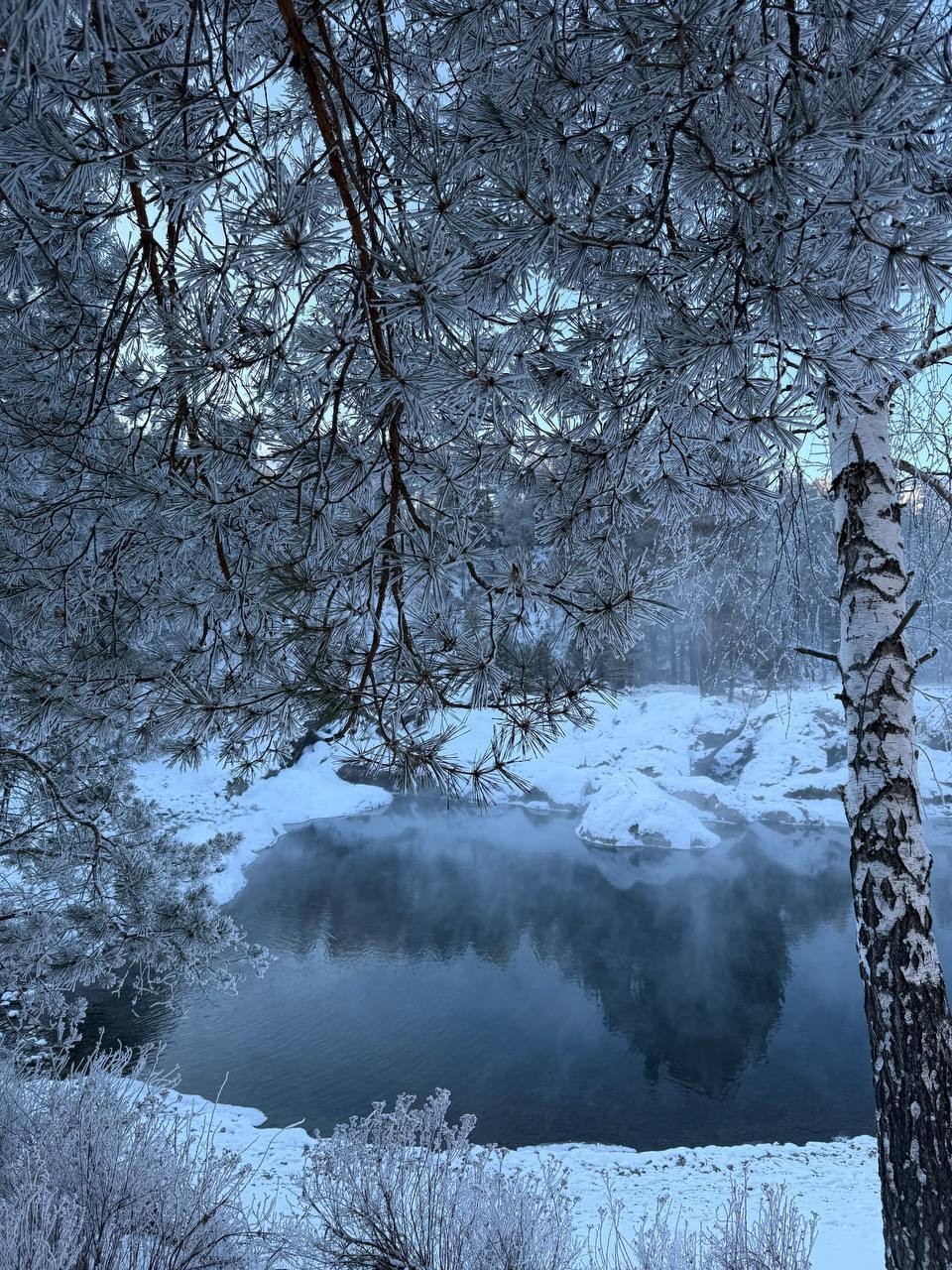 Отзыв о экскурсии "Долина Катуни — в гости к госпоже Горного Алтая" — фото 5