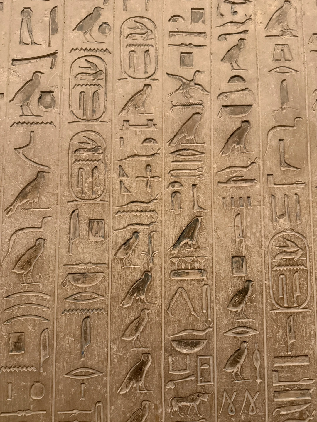 Отзыв о экскурсии "Тайны пирамид Саккары, Дахшура и Гизы" — фото 7