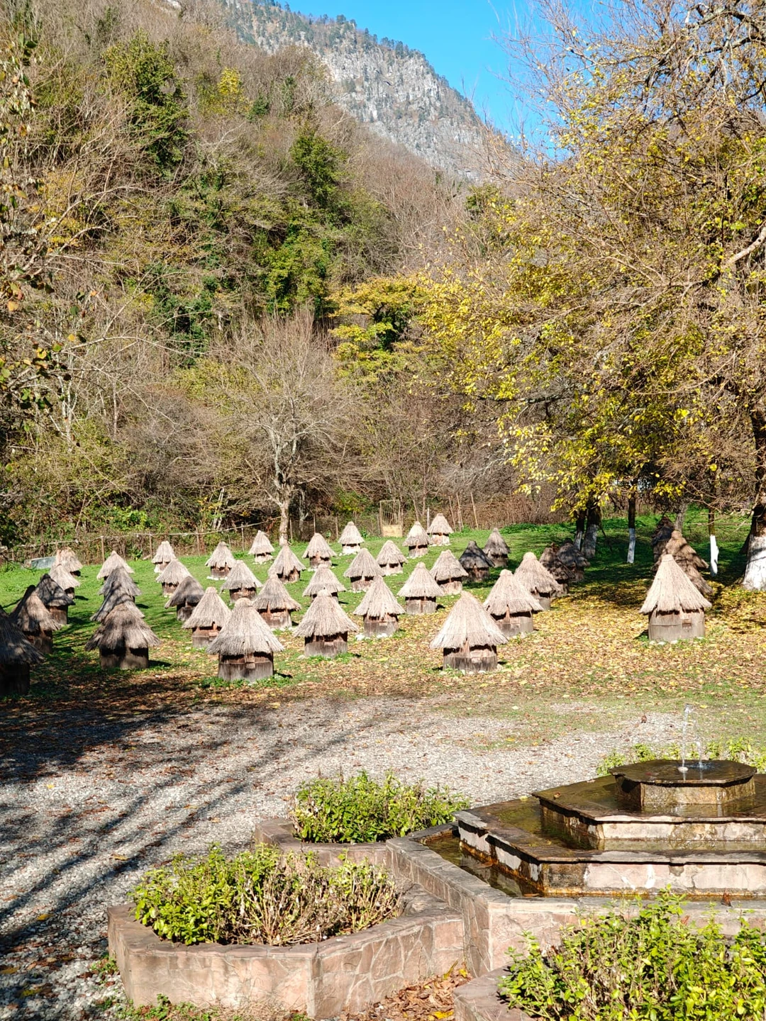 Отзыв о экскурсии "Из Сухума — к красавице Рице" — фото 2