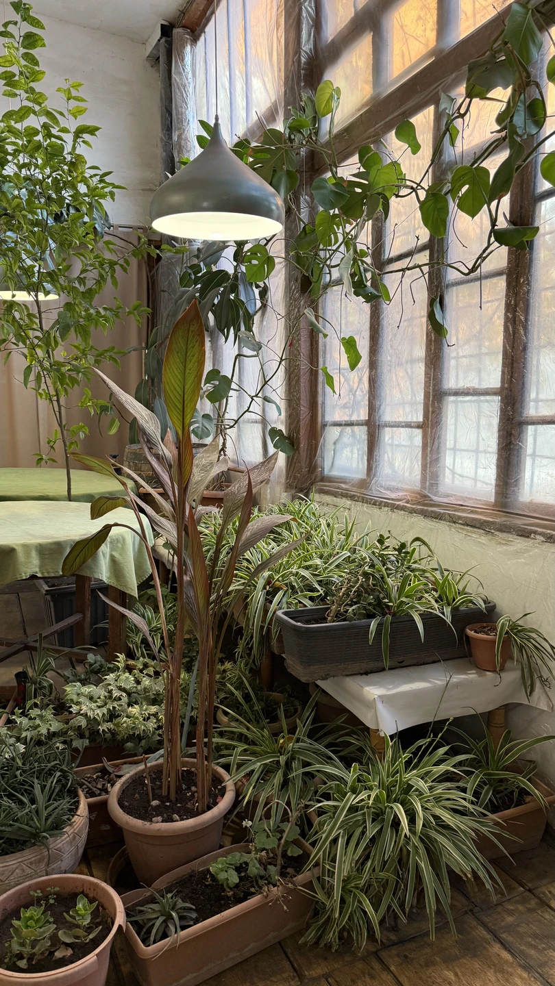 Фото путешественника — 2