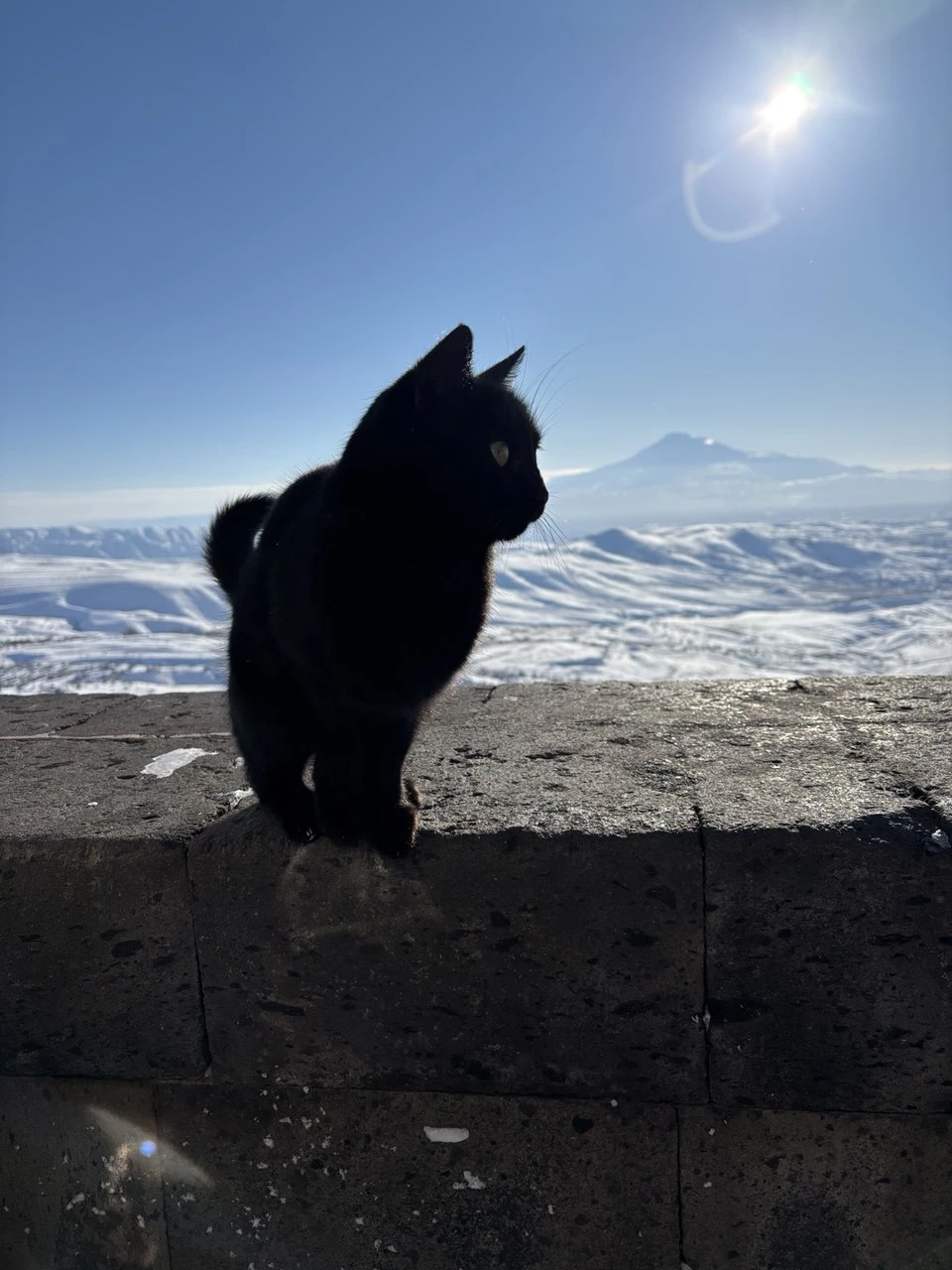 Фото путешественника — 7