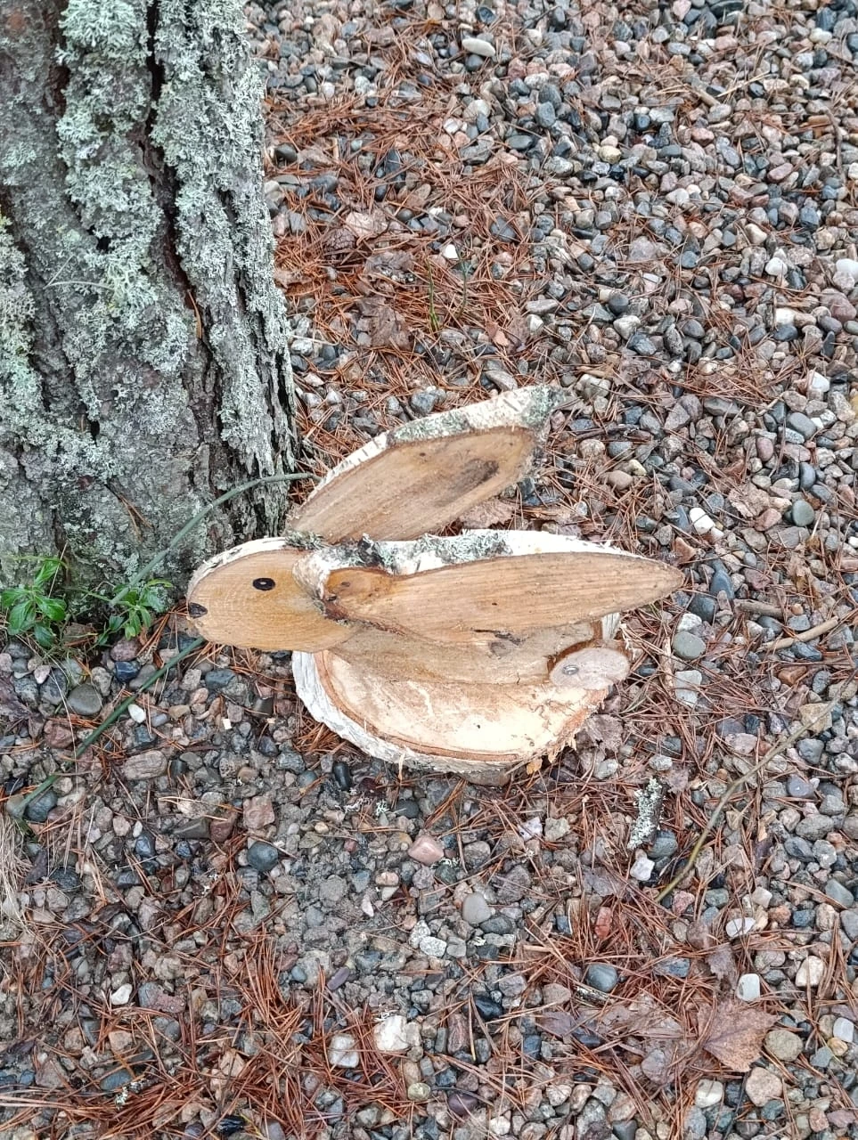 Отзыв о экскурсии "Автобусная экскурсия «Золотое кольцо Карелии» (из Петрозаводска)" — фото 6